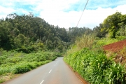 sam_0389
